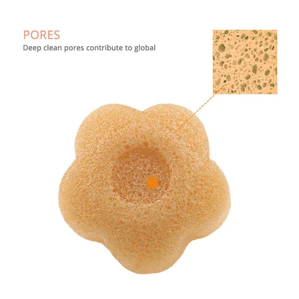 Floral Citrus Konjac Sponge - Close-Up Detail